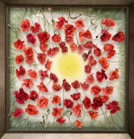 Coquelicots rayonants_J